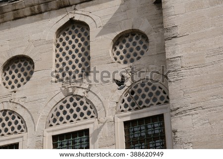 Stone walls and decorative windows of Hekimoglu Ali Pasha mosque in istanbul, turkey with flying bird.