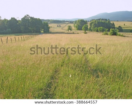pasture, forest, track of path through meadow Royalty-Free Stock Photo #388664557