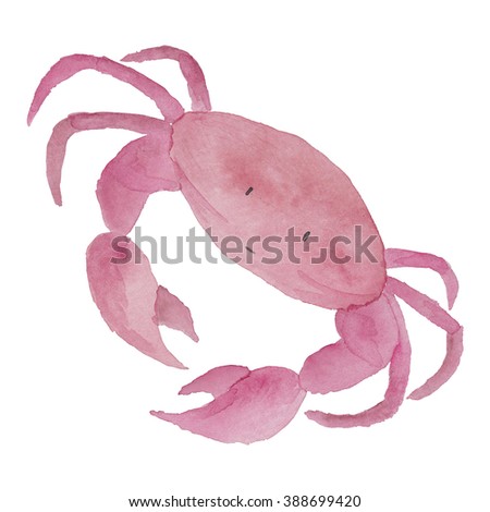 Crab Watercolor Nautical Illustration 