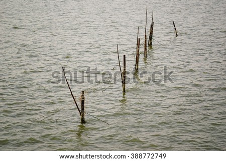 Water in lake and bamboo fence:select focus with shallow depth of field:ideal use for background.
