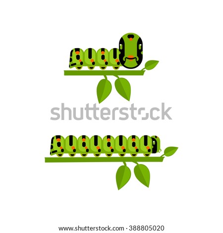 Macro of green caterpillar isolated on white. Young and big vector drawn caterpillar. Flat caterpillar. Game design of caterpillar. Polyxena caterpillar