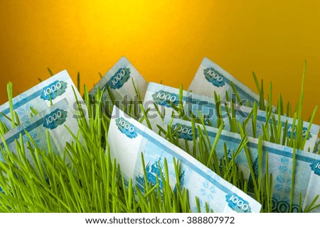 Ruble bills among green grass. Appreciation of russian currency. Financial concept.