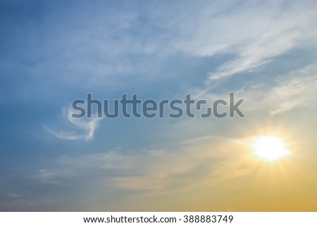 select  focus ,soft focus  , ,ideal use for background