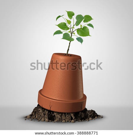 Never give up hope concept of persistence and the unstoppable force of nature as a sapling plant emerging out of an upside down flower pot as a success metaphor and motivation symbol. Royalty-Free Stock Photo #388888771
