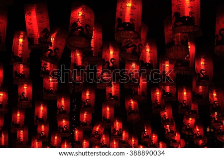 Chinese lantern 10