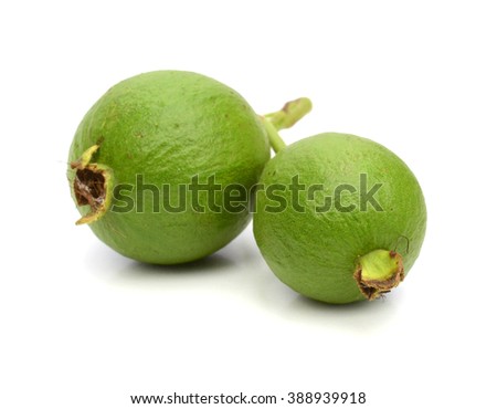 half green guava (delicious tropical fruit) isolated on white