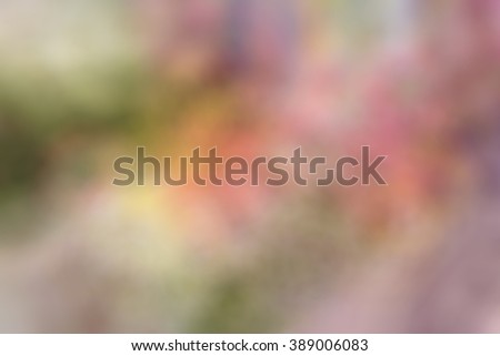 Flowers in pastel styles.Background of Beautiful flower decoration. Process with shape blur style. de focused.