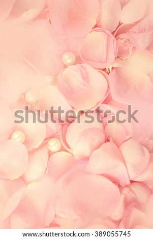 Beautiful pink rose petals with pearls