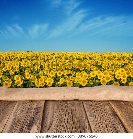 empty wooden table in sunflower field with blue sky. the background for product display template.