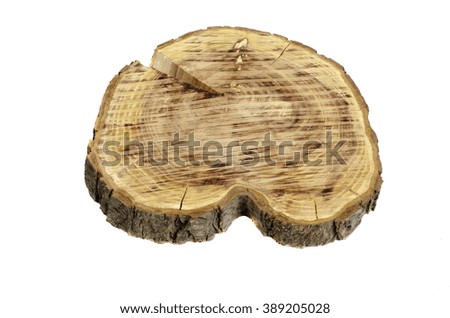 Interesting cross section of tree trunk. Isolated on white background.