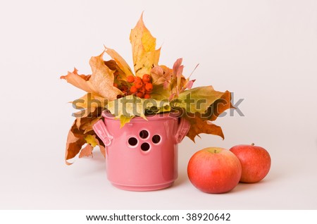 composition of autumn leaves and apples on white background