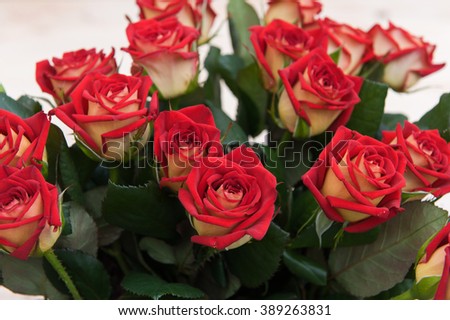 Beautiful red roses on a dark wooden table, with space for text