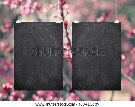Close-up of two hanged blackboard sheet frames with clips on pink blooms background