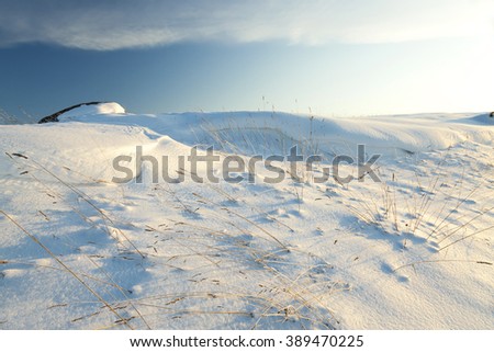  an agricultural field in a winter season. the field is covered with snow after snowfall