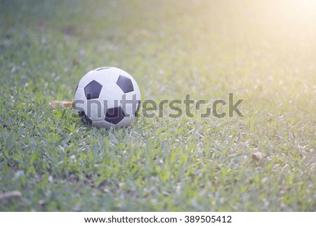 Football in grass and sunlight.