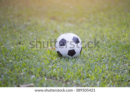 Football in grass and sunlight.