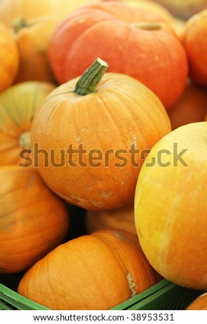 Pumpkins in supermarket.