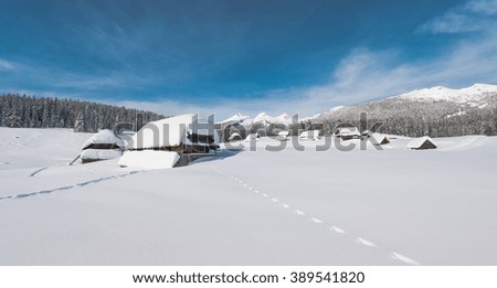 Winter forest landscape with cottages under the clear sky