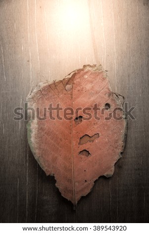 The leaves on the wooden floor as a background abstract ideas and input.