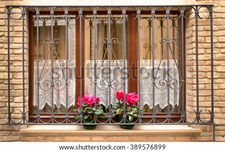 Grill over window with two flowers Royalty-Free Stock Photo #389576899