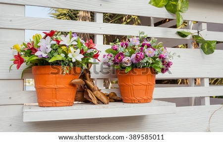 Colourful flower pots beside white leak