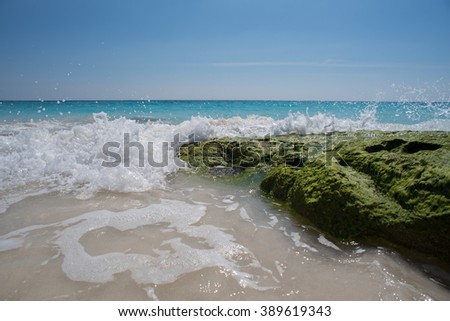 Wave crashes on algae covered rock