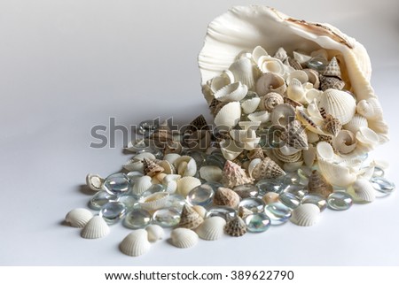 shells and glass stones on white background