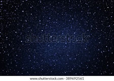 starry in the blue night sky 