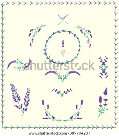 Floral elements for logo or decor.Lavender icons set. Hand-drawn cartoon  collection. Doodle drawing. Vector illustration.