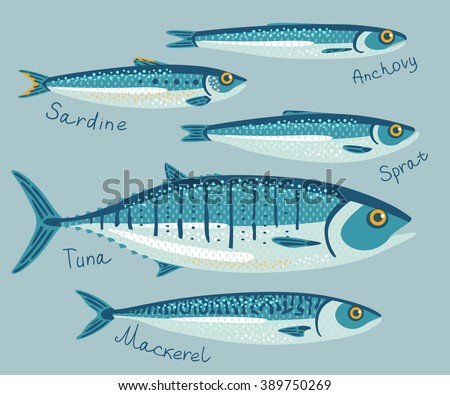 Fish collection for conservation in flat style. Set with anchovy, sardine, sprat, tuna and mackerel fishes for preservation. Vector illustration. Seafood packaging concept. 