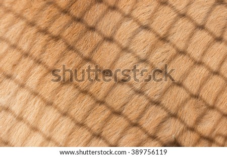 brown wool as background