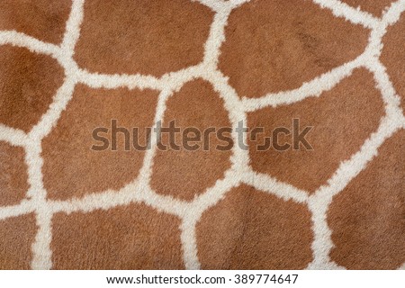Animal skin background of the patterned fur texture on an African giraffe Royalty-Free Stock Photo #389774647