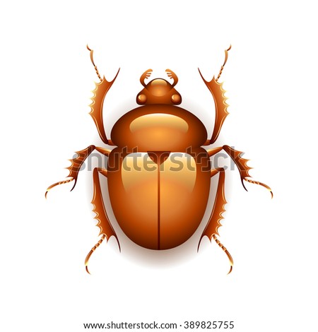 Egyptian scarab beetle isolated on transparent background, photo-realistic vector illustration