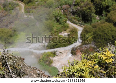 Focus on the plants on the foreground with hiking trails and bridges on the background, near Dragon's Mouth Geyser, Wairakei, New Zealand