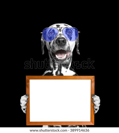 dog in glasses keeps frame in its paws -- isolate on black background