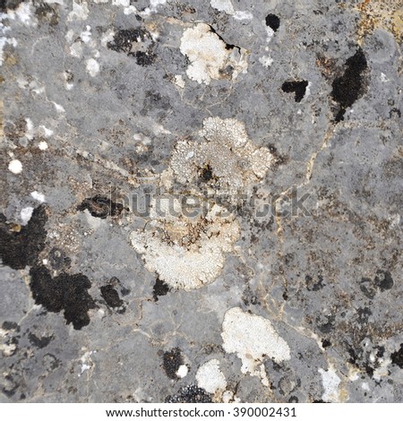 The texture of limestone with lichen