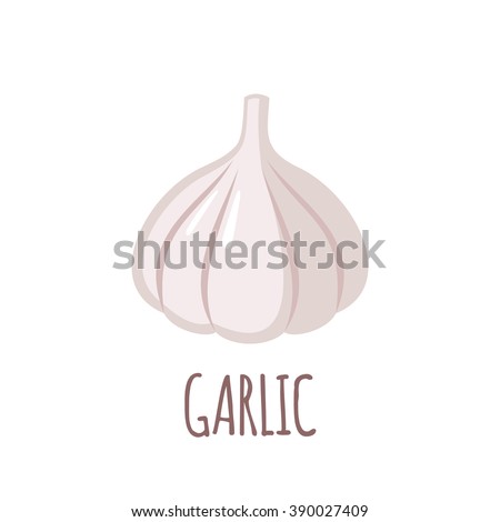 Garlic logo in flat style. Isolated object. Garlic icon. Vegetable from the garden. Organic food. Vector illustration.  Royalty-Free Stock Photo #390027409