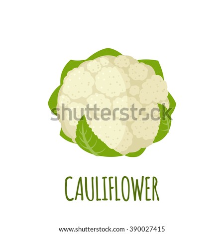 Cauliflower icon in flat style.  Isolated object. Cauliflower logo. Isolated object. Vegetable from the garden. Organic food. Vector illustration.  Royalty-Free Stock Photo #390027415