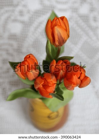 easter and spring decoration with  tulip flowers. Lace