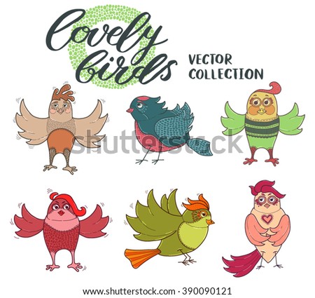 Lovely birds, vector collection