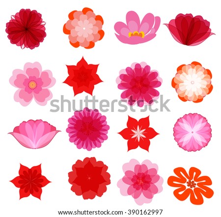 beautiful colorful flowers vector collection in silhouette isolated on white background for design