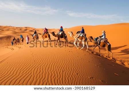 Caravan going through the sand dunes in the Sahara Desert, Morocco Royalty-Free Stock Photo #390168529