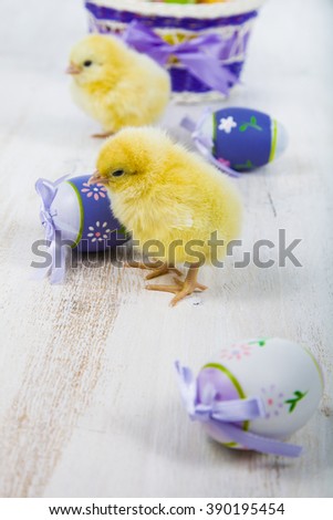 Yellow chickens and easter eggs on the wooden table