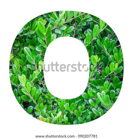 English alphabet letters with green leaf photo isolated on white background