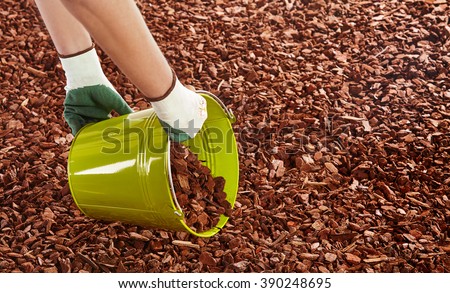 Unidentifiable arms of gardener in rubber coated cloth gloves holding green metal bucket while spreading red wood chip mulch on ground Royalty-Free Stock Photo #390248695