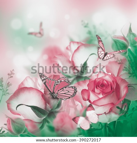 Bouquet of fresh roses, flower bright background and butterfly.