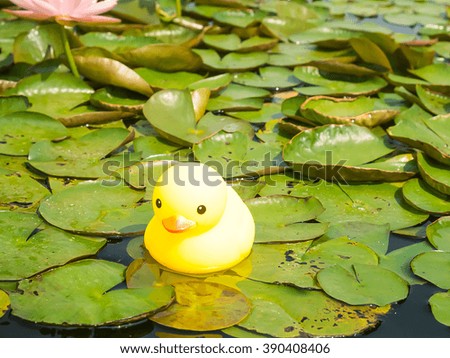 Big yellow duck on Lotus leaf.