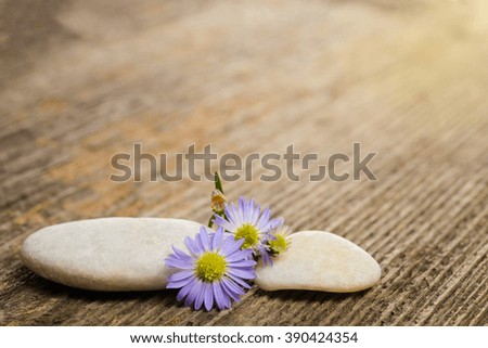 Two stones and blue flowers on a wood background