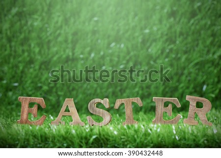 Word of Easter in wooden design on the green grass, green grass idea