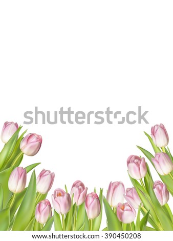 Pink fresh tulips on white. EPS 10 vector file included